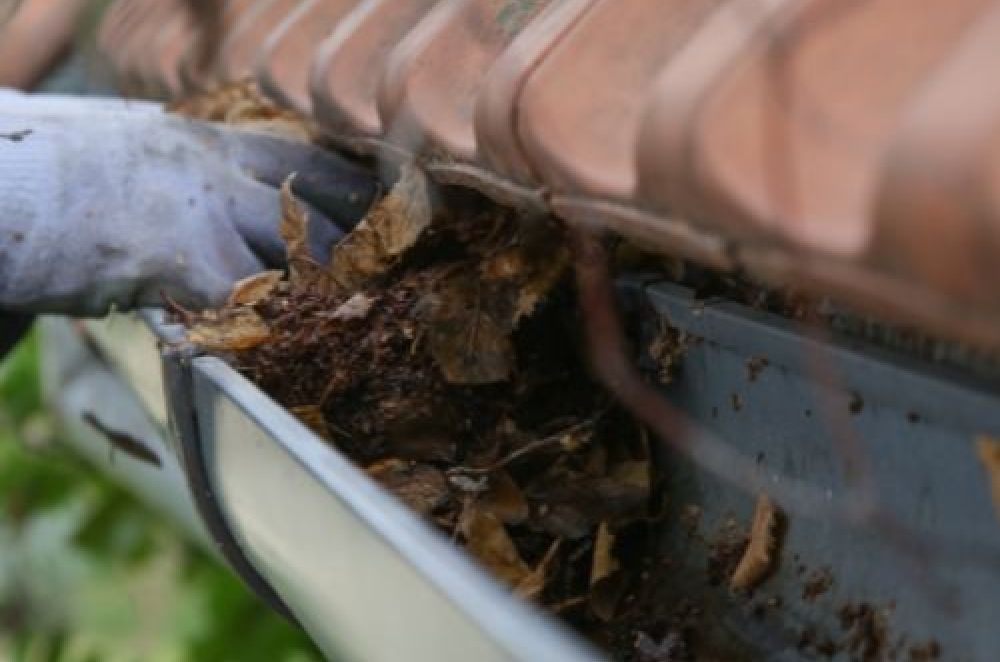 Preventing Clogged Drains From Outdoor Debris