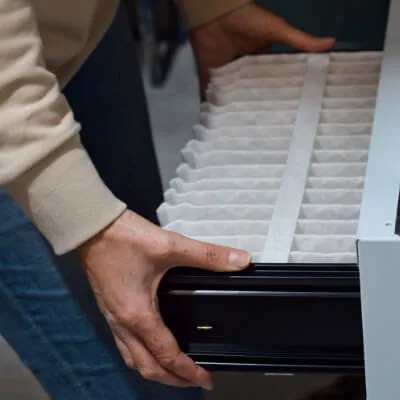 Airborne Allergens in Northern California