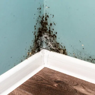 Reasons Why NorCal Homes Need Sump Pumps
